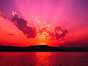 Contact